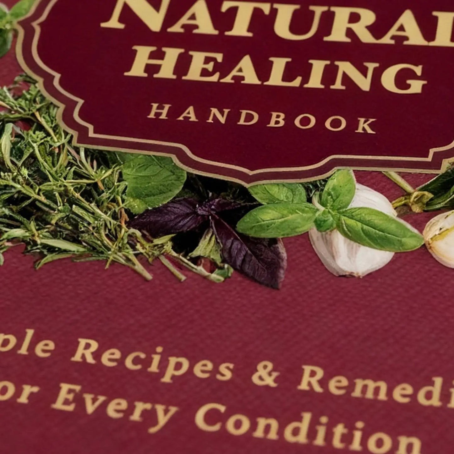 Human Health Guide Book Plant Theme Eating Recipe Spiral Binding Natural Book for Women Men Family Adult Elderly Chef Study