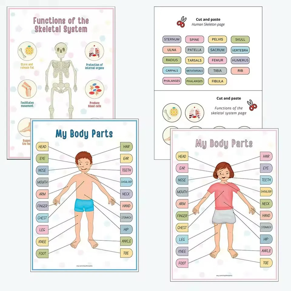 Human Anatomy Busy Book Explore The Marvels of The Human Body Children's Medical Enlightenment Book  ﻿