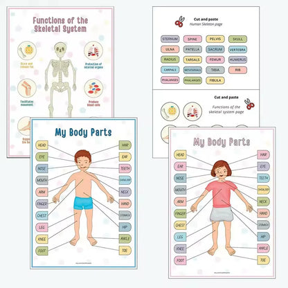 Human Anatomy Busy Book Explore The Marvels of The Human Body Children's Medical Enlightenment Book  ﻿