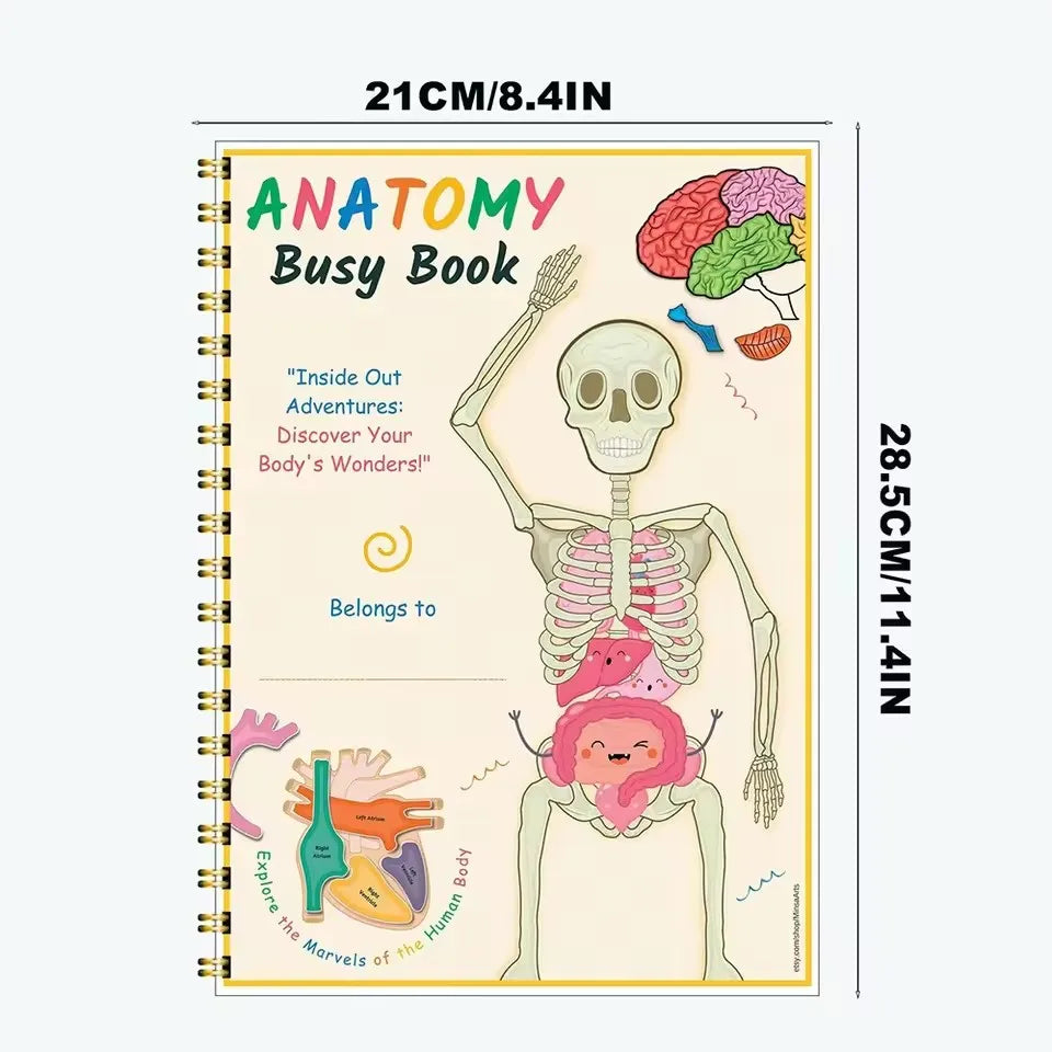 Human Anatomy Busy Book Explore The Marvels of The Human Body Children's Medical Enlightenment Book  ﻿
