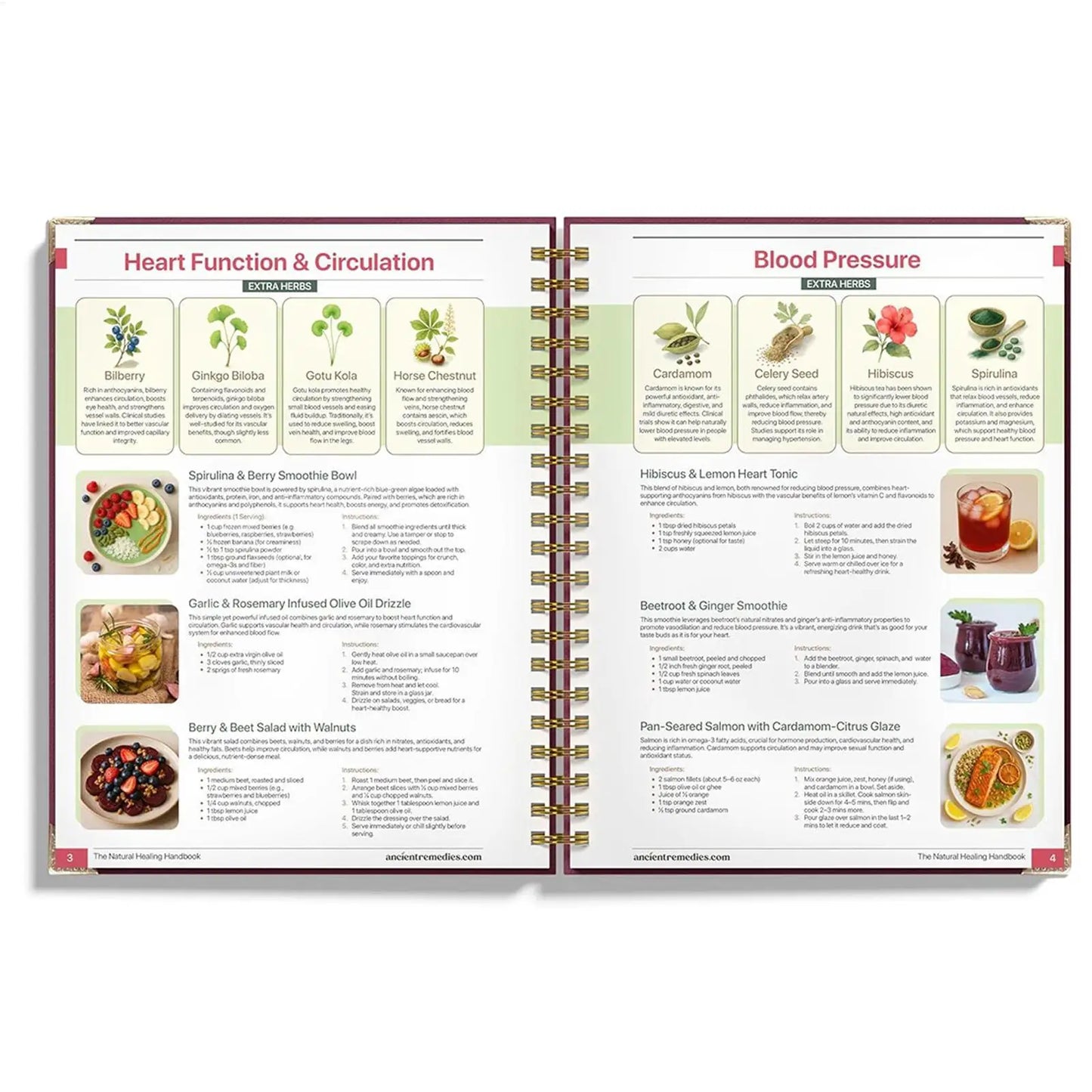 Human Health Guide Book Plant Theme Eating Recipe Spiral Binding Natural Book for Women Men Family Adult Elderly Chef Study