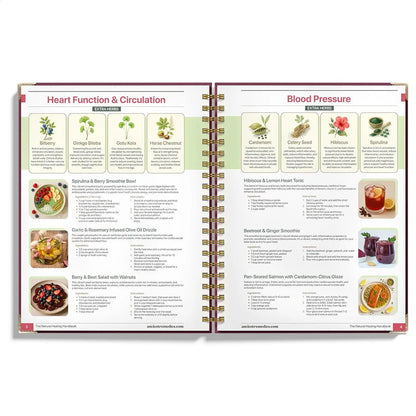 Human Health Guide Book Plant Theme Eating Recipe Spiral Binding Natural Book for Women Men Family Adult Elderly Chef Study