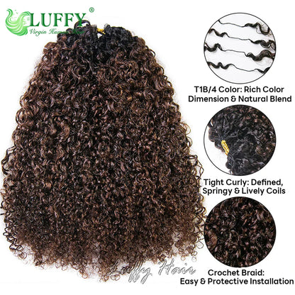Kinky Curly Crochet Human Hair Extensions 1BT4 Brown Color Pre-Separated Knotless Feather Burmese Human Hair for Black Women