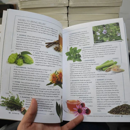 2025Sustain Me The 9 Foundational Pillars for Health Guide Book A Handbook of Natural Remedies in English Paperback